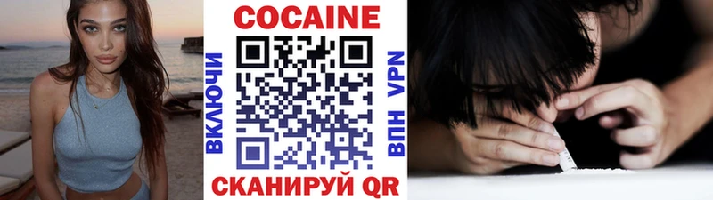 Cocaine Fish Scale  kraken маркетплейс  Судогда 
