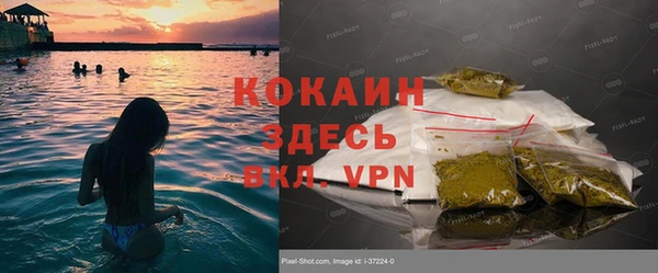 крисы Абаза