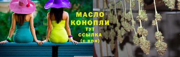 крисы Абаза