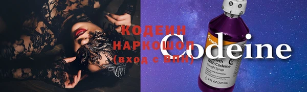 крисы Абаза