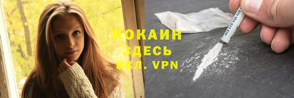 крисы Абаза