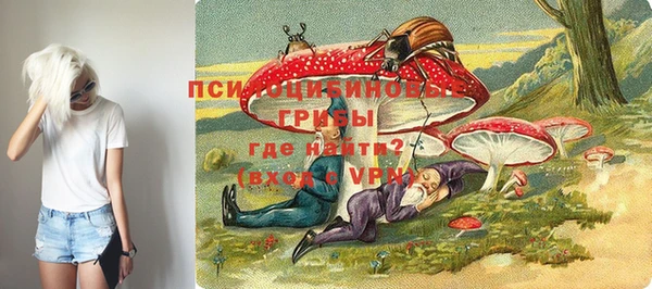 ПСИЛОЦИБИНОВЫЕ ГРИБЫ Абдулино