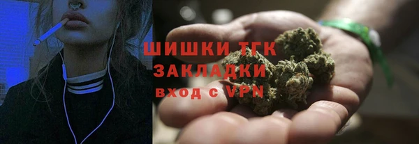 крисы Абаза