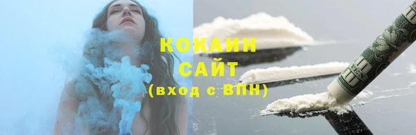 крисы Абаза