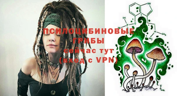 ПСИЛОЦИБИНОВЫЕ ГРИБЫ Абдулино