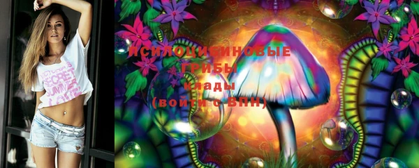 ПСИЛОЦИБИНОВЫЕ ГРИБЫ Абдулино