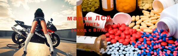 крисы Абаза